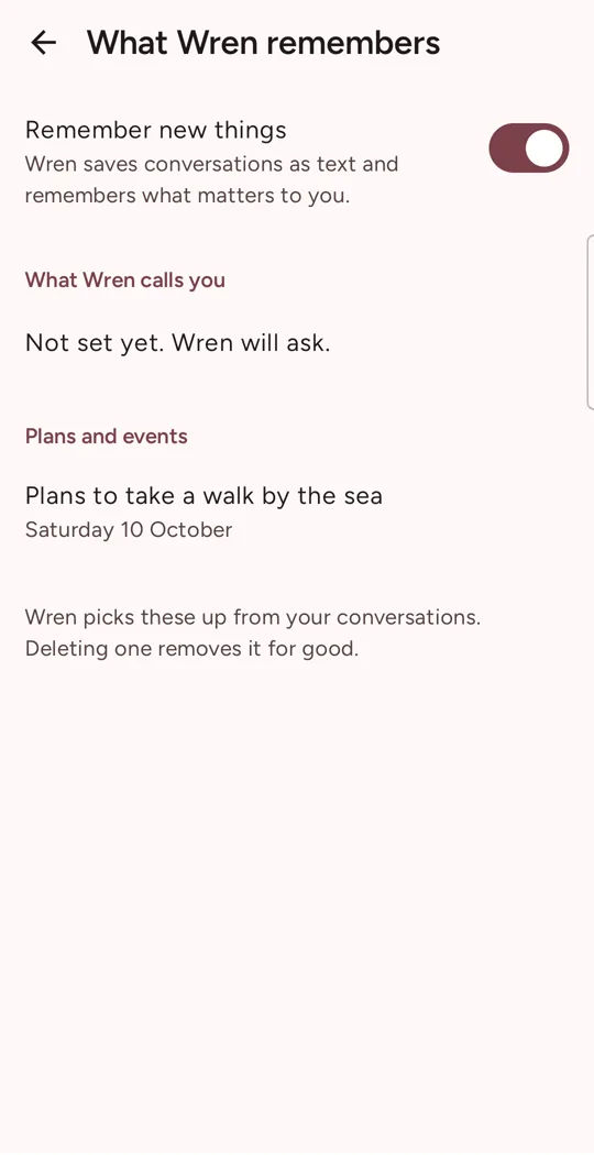 What Darcy remembers: plans to take a walk by the sea, Saturday 10 October